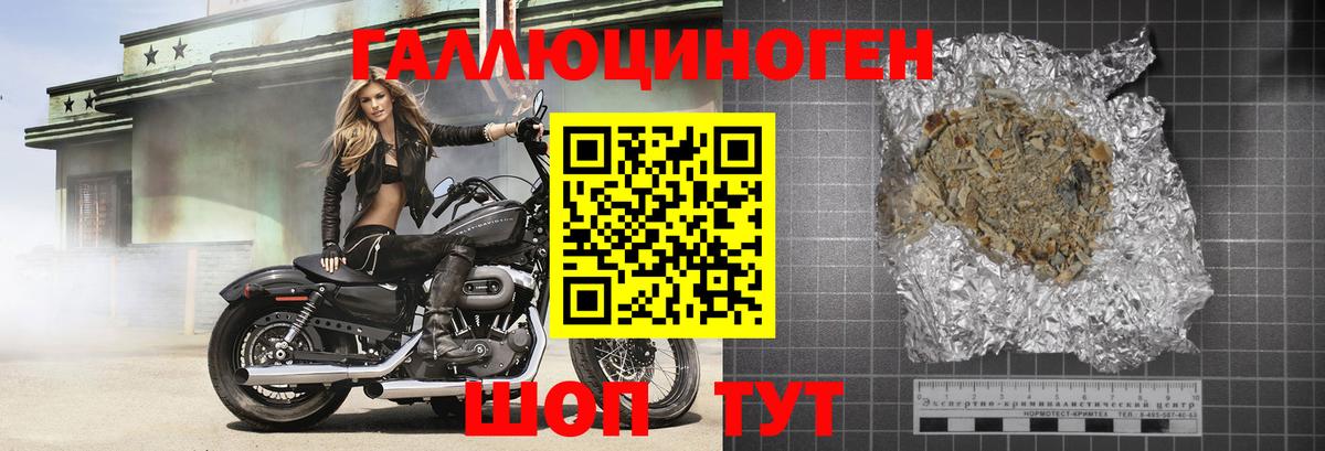 Саров  Галлюциногенные грибы Psilocybine cubensis  Вход с VPN 