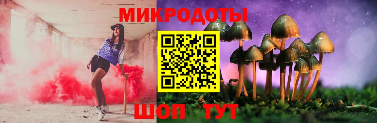 Псилоцибиновые грибы Psilocybe Саров